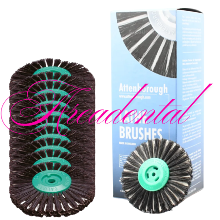 brosses finition polissage prothèses dentaire