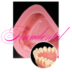 SHERAGEL Gel de duplication seau de 6 kg - SHERA