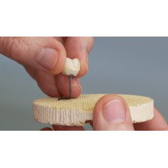 Firing paste pour zircone dentaire (anti déformation) 12 ml - AREADENTAL