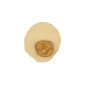 Plâtre type 4 Yeti Rock IV chamois 20 kg - YETI DENTAL Plâtre type 4 Yeti Rock IV chamois 20 kg - YETI DENTAL