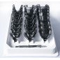 Les porte empreintes Superform Fumé - VANNINI DENTAL