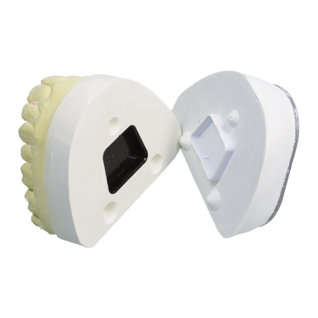 Model Lock Mâle (200 pcs) - EURO DENTIS