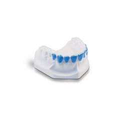 Plaques souples Bioplast bleach pour gouttières de blanchiment - SCHEU DENTAL