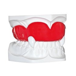 Plaques à thermoformer rondes couleur BIOPLAST® - Scheu Dental
