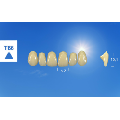 Dents naturelles esthétique  tribos 501- GEBDI