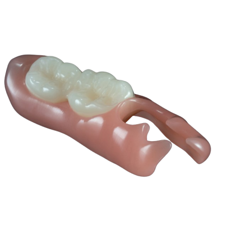 Eldy Plus Rose 2 / Rosa opal / claire - DENTALPLUS
