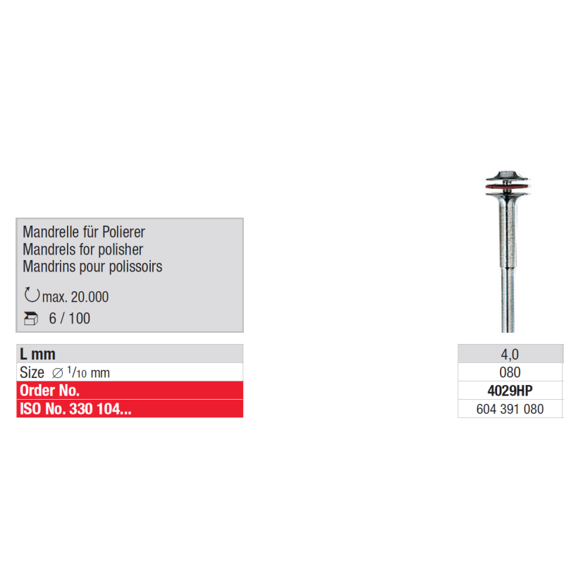 Mandrins pour polissoirs 6 pcs - EDENTA