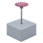 Polissoir pour la céramique StarGloss - EDENTA Polissoir pour la céramique StarGloss - EDENTA