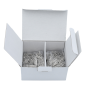 Bi-pin avec pointe 1000 pcs - RENFERT