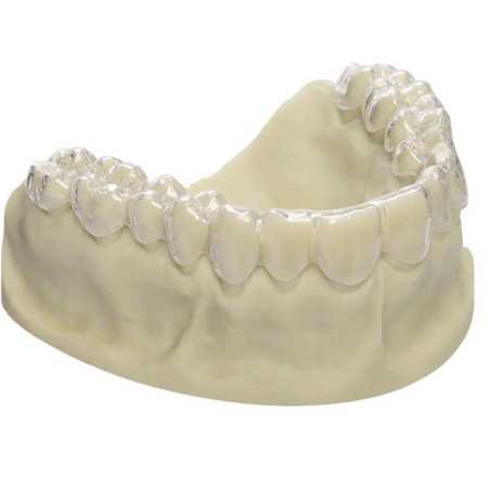 Biolon plaques clair transparent 120 mm 20 pièces - DREVE