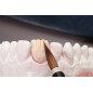 Pinceaux en poils naturels Genius - RENFERT Pinceaux en poils naturels Genius - RENFERT