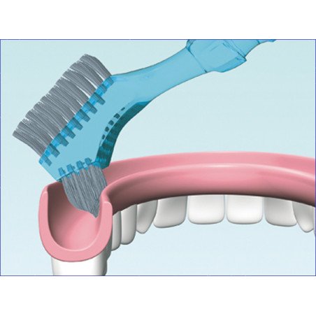 Brosse double coté Protho Brush® De Luxe - HAGER WERKEN