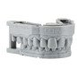 Résine model dentaire 3d 1Kg - EVERALL7 Résine model dentaire 3d 1Kg - EVERALL7