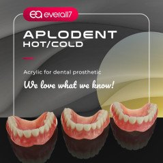 Résine de base Aplodent COLD poudre 500g et 1 kg - EVERALL7