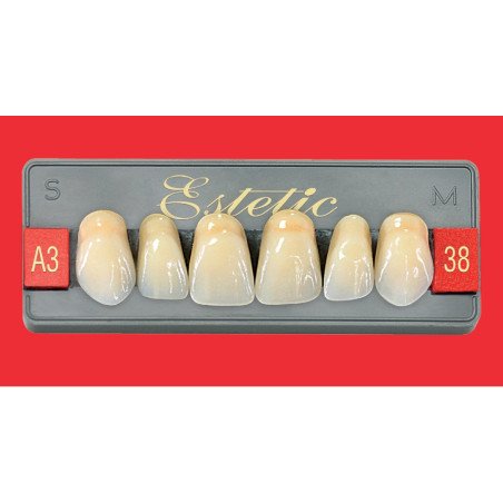 Dents Esthétique type Vita antérieur 6 dents une plaquette - WIEDENT
