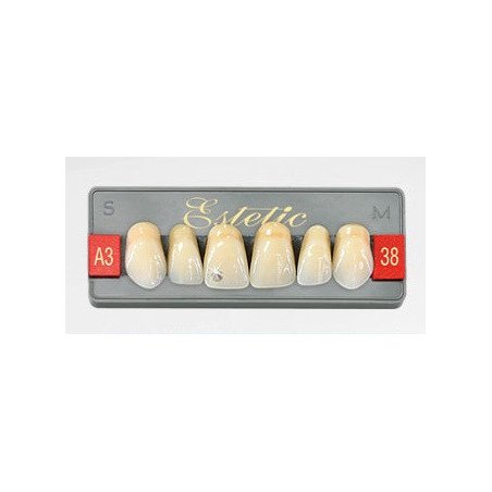 Dents Esthétique type Vita antérieur 6 dents une plaquette - WIEDENT