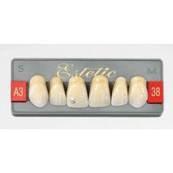 Dents Esthétique type Vita postérieur 8 dents une plaquette  - WIEDENT