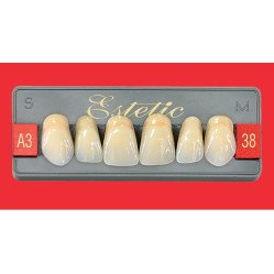 Dents Esthétique type Vita postérieur 8 dents une plaquette  - WIEDENT