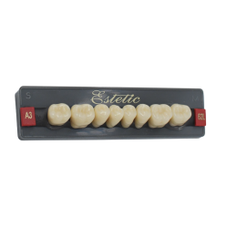 Dents Esthétique type Vita postérieur 8 dents une plaquette  - WIEDENT