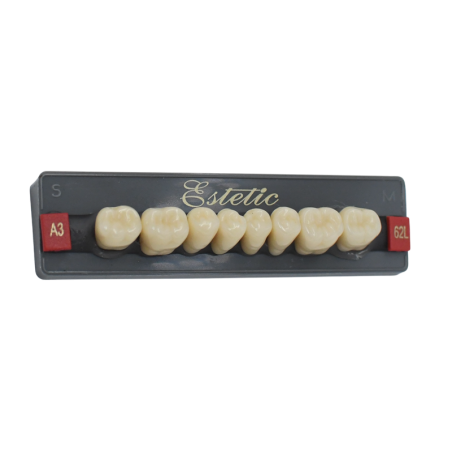 Dents Esthétique type Vita postérieur 8 dents une plaquette - WIEDENT