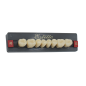 Dents Esthétique type Vita postérieur 8 dents une plaquette - WIEDENT