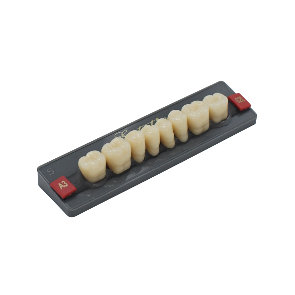 Dents Esthétique type Vita postérieur 8 dents une plaquette - WIEDENT