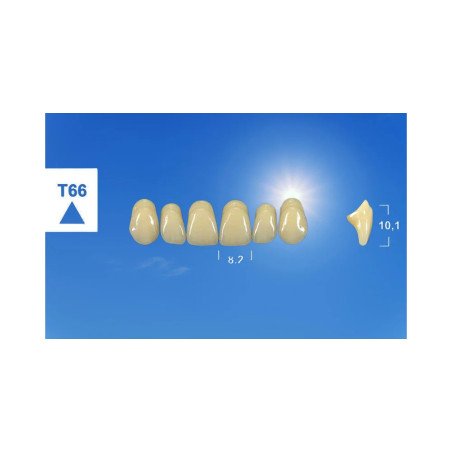 Dents naturelles esthétique / ANTERIEURS \ tribos 501- GEBDI