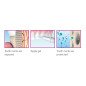 Stylo Mirasensitive hap+ pour les dents sensibles - HAGER & WERKEN