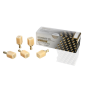 CERASMART 270 CEREC HT 14 - GC DENTAL