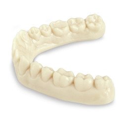 copie de copie de copie de copie de Imprimante 3d dentaire ASIGA MAX2 - SCHEU DENTAL