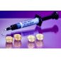 CLEARFIL MAJESTY™ ES Flow universal low / super flow - KURARAY NORITAKE