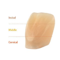 Amber mill direct bloc à usiner 5 pcs - HASS