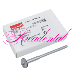 Mandrins pour polissoirs 6 pcs - EDENTA