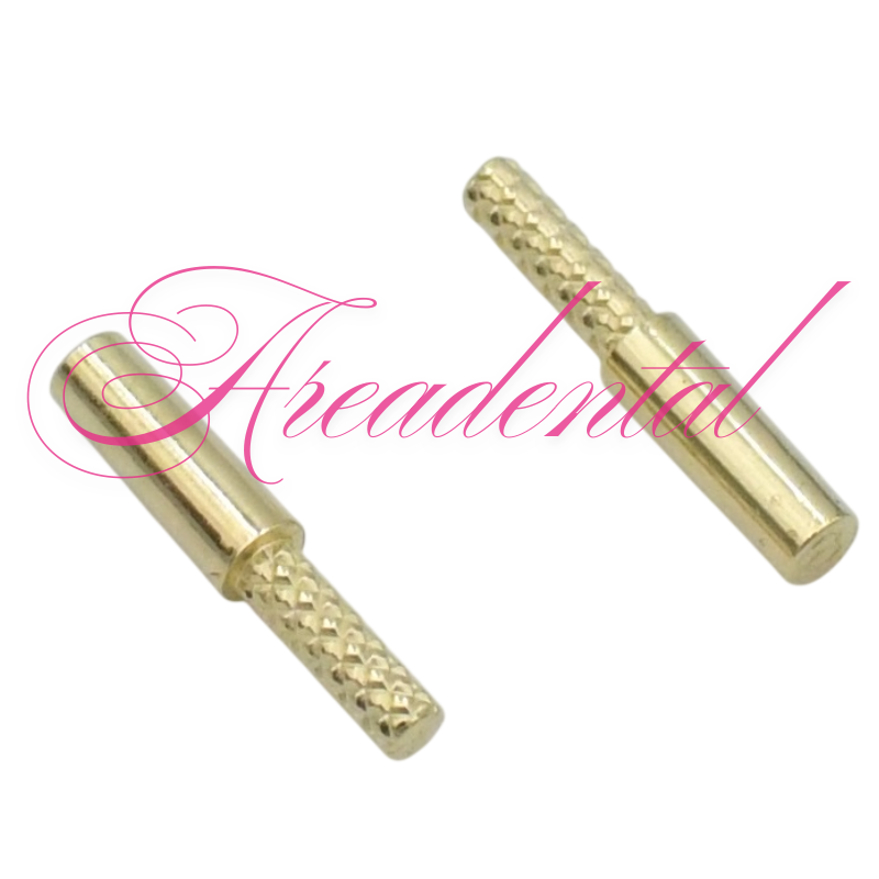 Pins coniques auto spin Pin 13 mm pour modèles 1000 pièces - AREADENTAL