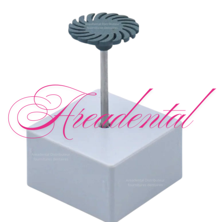 Polissoire CeraGloss pour céramique - EDENTA