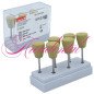 Polissoires pour résines 6pcs - Edenta