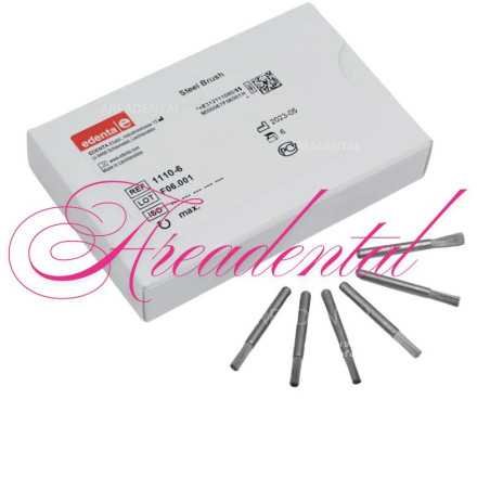 Brosses en acier pour nettoyage couronnes 6 pcs - EDENTA