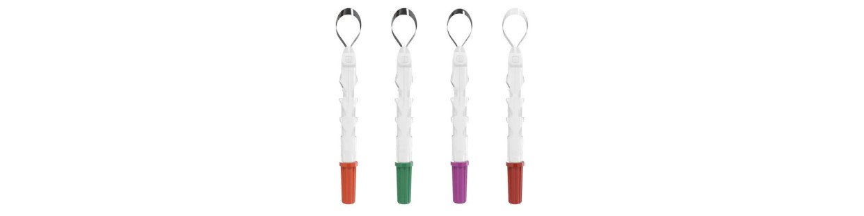 Matrice support - bandes matrices métal